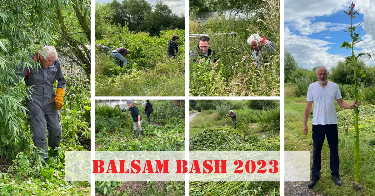 Balsam Bash 2023 fb sq